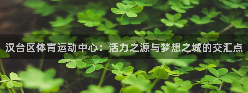 vsport体育官网下载招商电话是多少：汉台区体育运