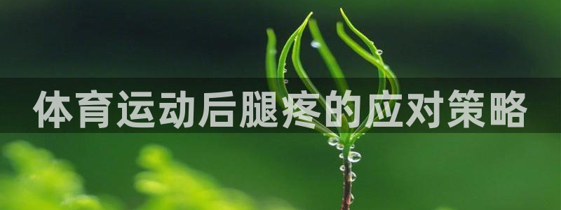 vsport体育官方正版app集团官网首页网址：体育