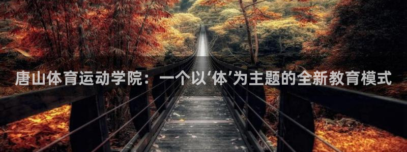 vsport体育官方正版app集团logo：唐山体育
