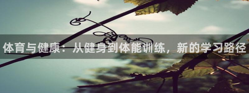 vsport体育官网下载平台APP