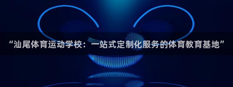 vsport体育官方正版app集团简介