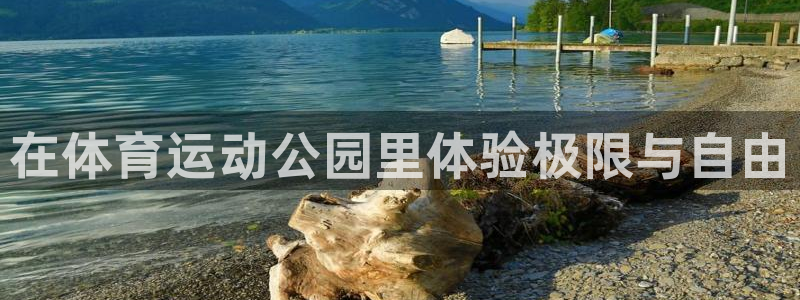 vsport体育官网下载招商电话地址：在体育运动公园里体验极