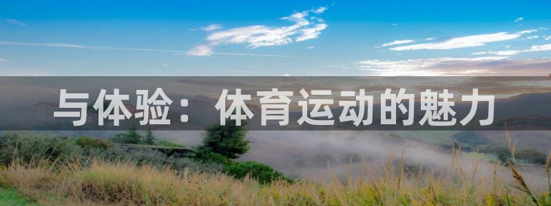 vsport体育官方正版app集团：与体验：体育运动