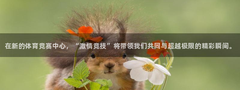vsport体育官方集团官网：在新的体育竞赛中心，“激情竞技
