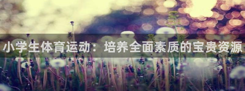 vsport体育官方正版app娱乐40996：小学生体育运动