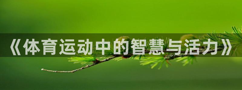 vsport体育官方正版app官方：《体育运动中的智慧与活力