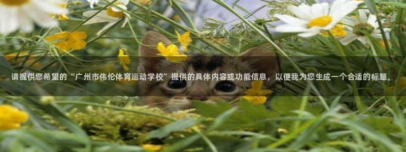 vsport体育官网下载招商电话是多少：请提供您希望的“广州