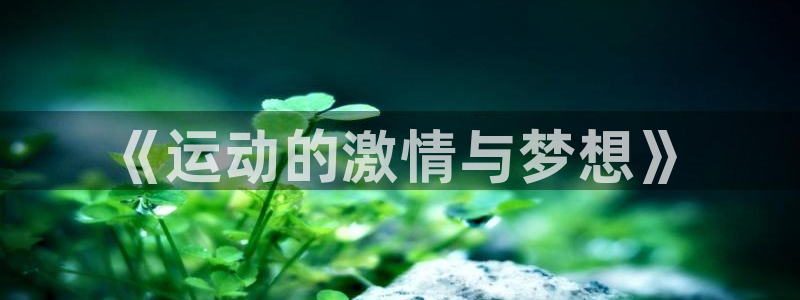 vsport体育官网下载招商电话地址查询