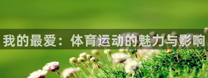 vsport体育官网下载：我的最爱：体育运动的魅力与影响
