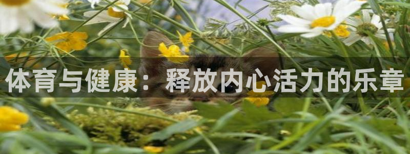 vsport体育官网下载平台假的吗是真的吗：体育与健康：释放