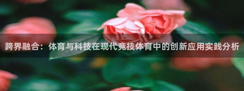 vsport体育官方正版app娱乐下载：跨界融合：体育与科技
