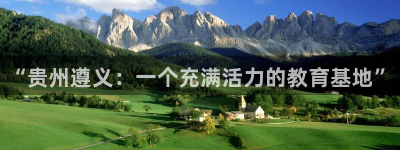 vsport体育官方正版app集团logo：“贵州遵