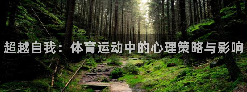 海南vsport体育官网下载发展怎么样：超越自我：体