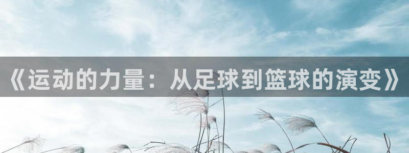vsport体育官方正版app娱乐网站