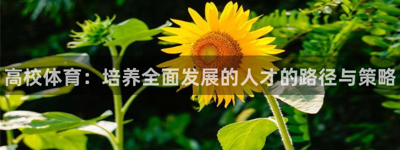 vsport体育官方正版app官网