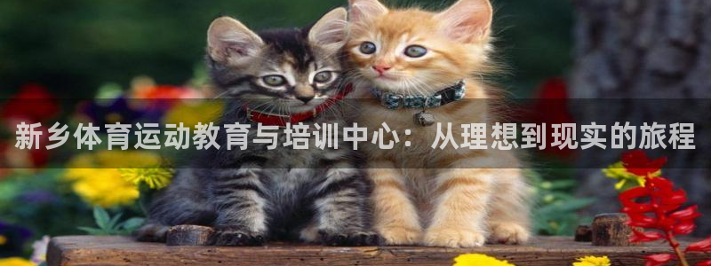 vsport体育官方正版app娱乐平台：新乡体育运动教育与培