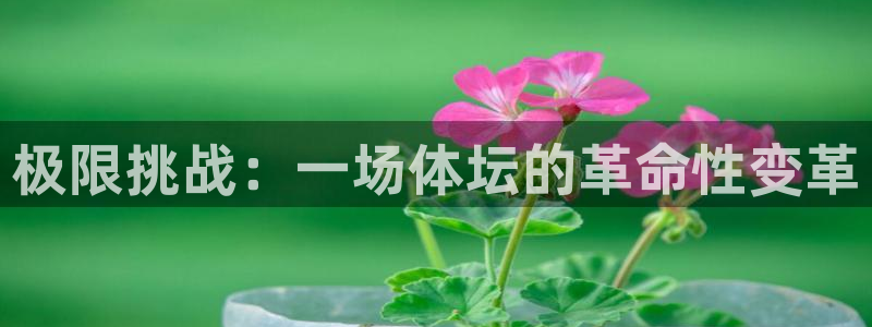 vsport体育官网下载软件：极限挑战：一场体坛的革命性变革