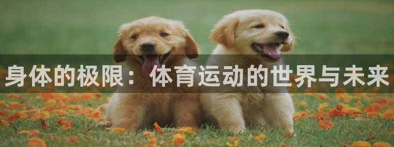 vsport体育官网下载招商电话号码是多少号：身体的