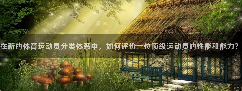 海南vsport体育官网下载发展怎么样：在新的体育运