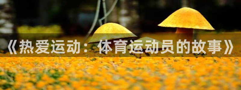 vsport体育官方正版app娱乐首页网站大全：《热