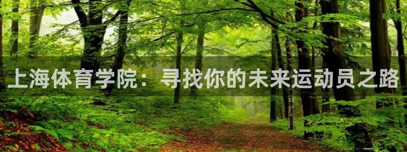 vsport体育官网下载平台是正规平台吗知乎：上海体