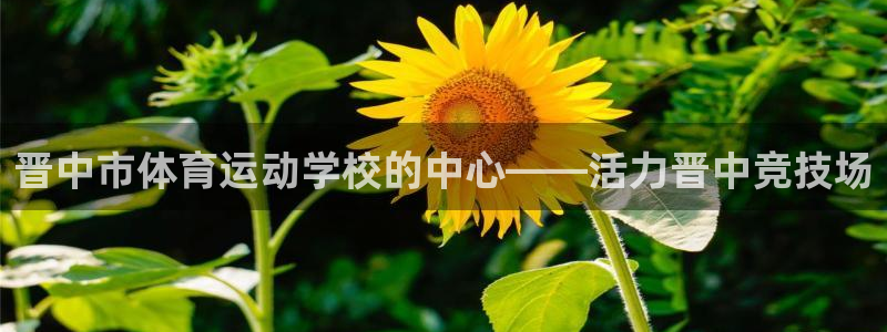 vsport体育官网下载招商电话地址：晋中市体育运动学校的中