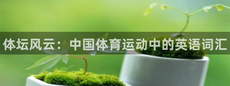 vsport体育官方正版app集团官网首页网址：体坛风云：中