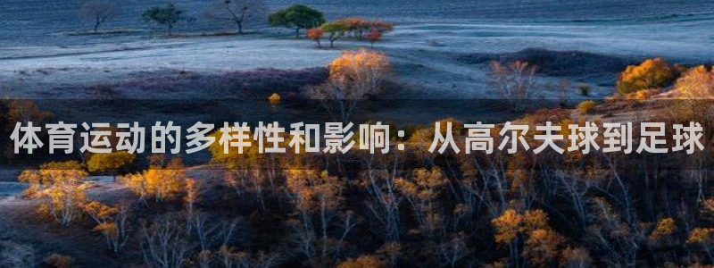 vsport体育官方正版app娱乐代理怎么样