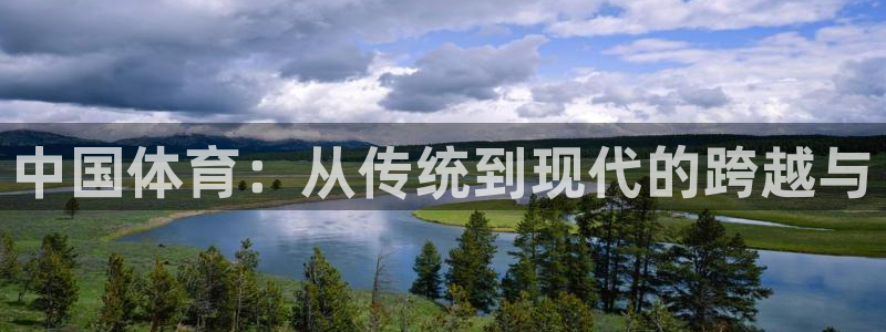 vsport体育官方正版app新能源