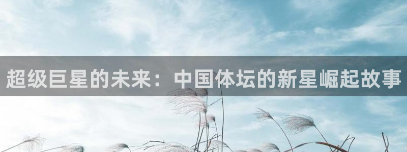 vsport体育官方正版app娱乐网站