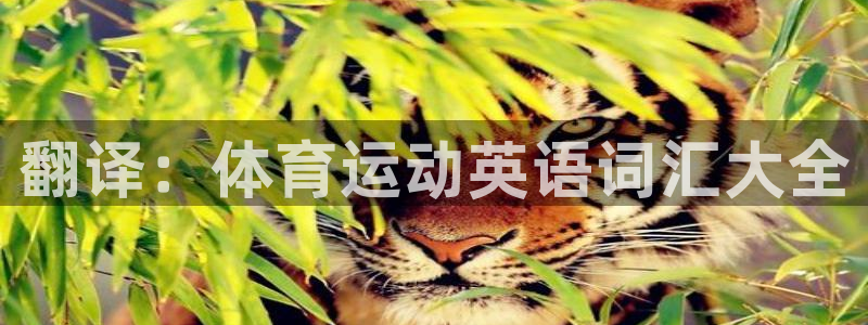 vsport体育官网下载招商电话是多少号码：翻译：体育运动英