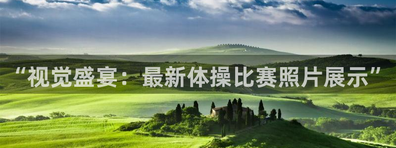 vsport体育官方正版app集团：“视觉盛宴：最新体操比赛