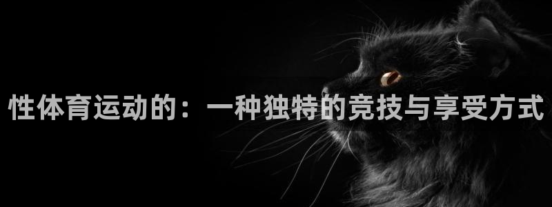 vsport体育官方正版app集团简介：性体育运动的：一种独